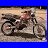 cartoonxl500r220022